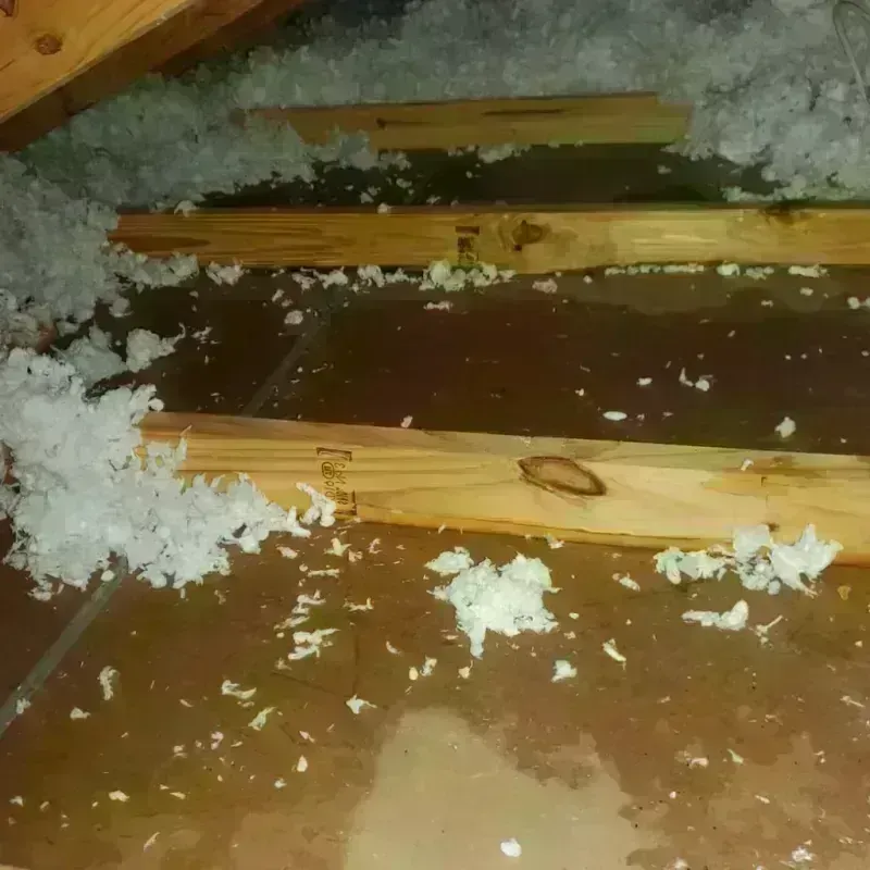 Attic Water Damage in Holualoa, HI